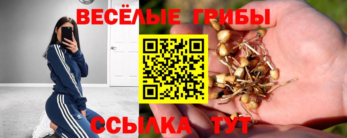 Псилоцибиновые грибы MAGIC MUSHROOMS  Вход с VPN  Конаково 