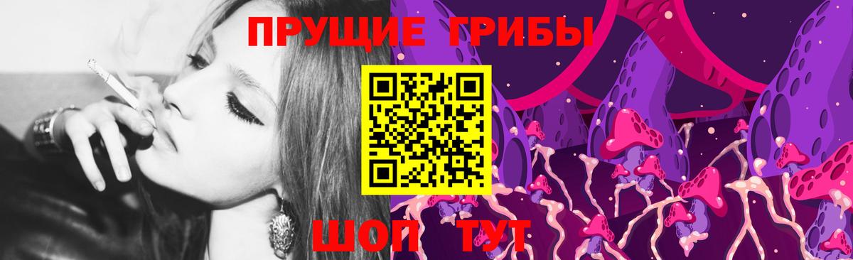 Галлюциногенные грибы Cubensis Конаково